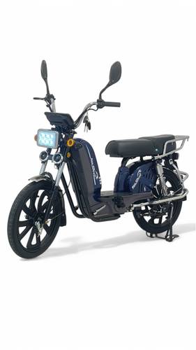 دراجة كهربائية مقاس 22 شبيه X100